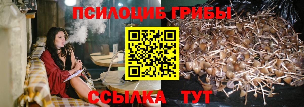 Михайловка  Галлюциногенные грибы Magic Shrooms  Вход с VPN 