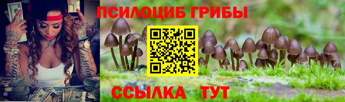 Галлюциногенные грибы мицелий Михайловка